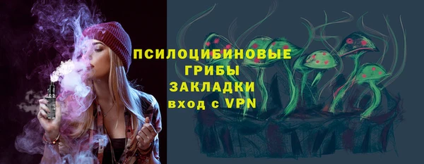 дмт Богородск