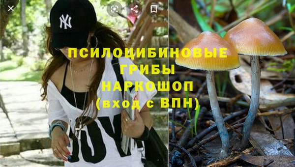 гашиш Богданович