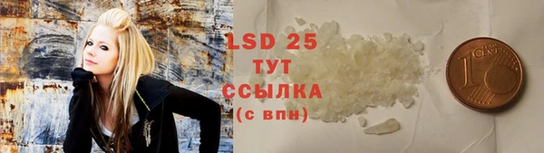 гашиш Богданович