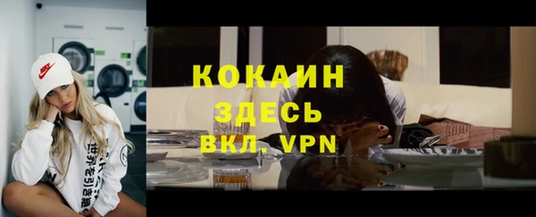 гашиш Богданович