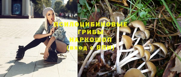 дмт Богородск