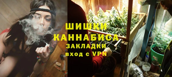 дмт Богородск