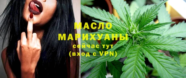 гашиш Богданович