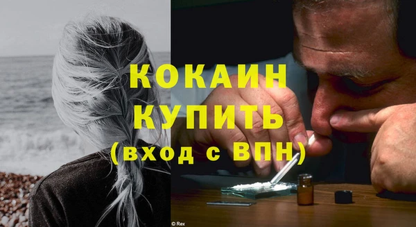 дмт Богородск