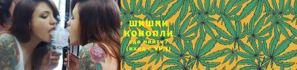 гашиш Богданович